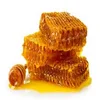 The Best Quality Organic Honey Bee (100%)from Thailand