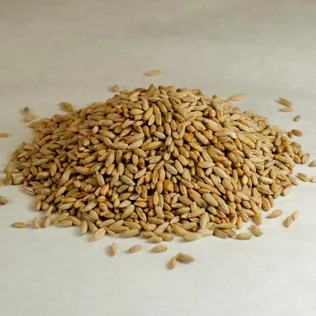 黑麦谷物直接供应,乌克兰黑麦麸