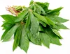 /product-detail/cassava-leaves-in-vietnam-high-quality-with-best-price-50039418402.html