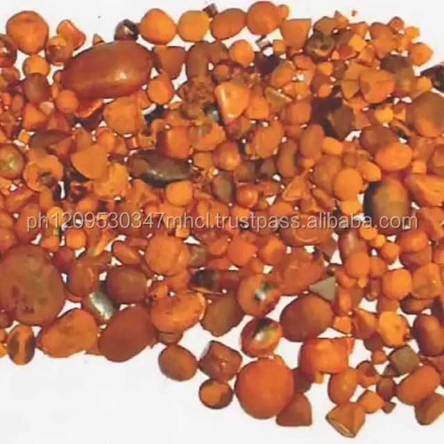 quality 100% whole and broken ox bezoar/gallstones