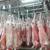 Halal Frozen Lamb/ Sheep/ Mutton Meat...
