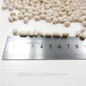 dry white haricot beans price