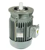 3 phase Vertical Induction Motor AC motor 0.5 HP Electric Motor Compatible TECO Westinghouse IEC Standard