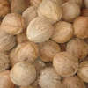 Best Quality Pollachi Fresh Semi Husked Coconut