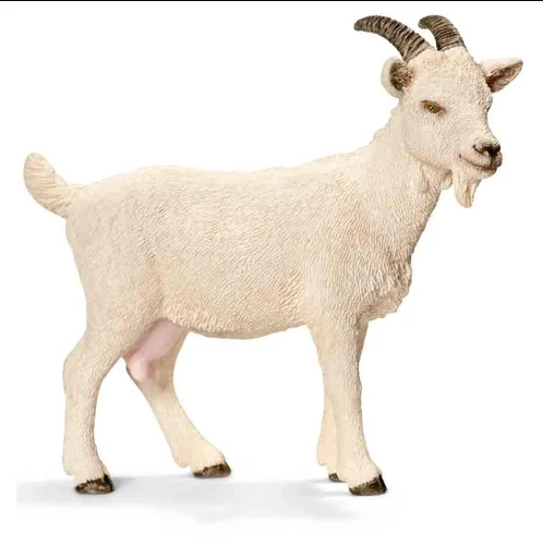 goat (1).png