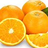 /product-detail/valencia-oranges-fresh-valencia-orange-for-exporting-fresh-valencia-orange-50039785751.html