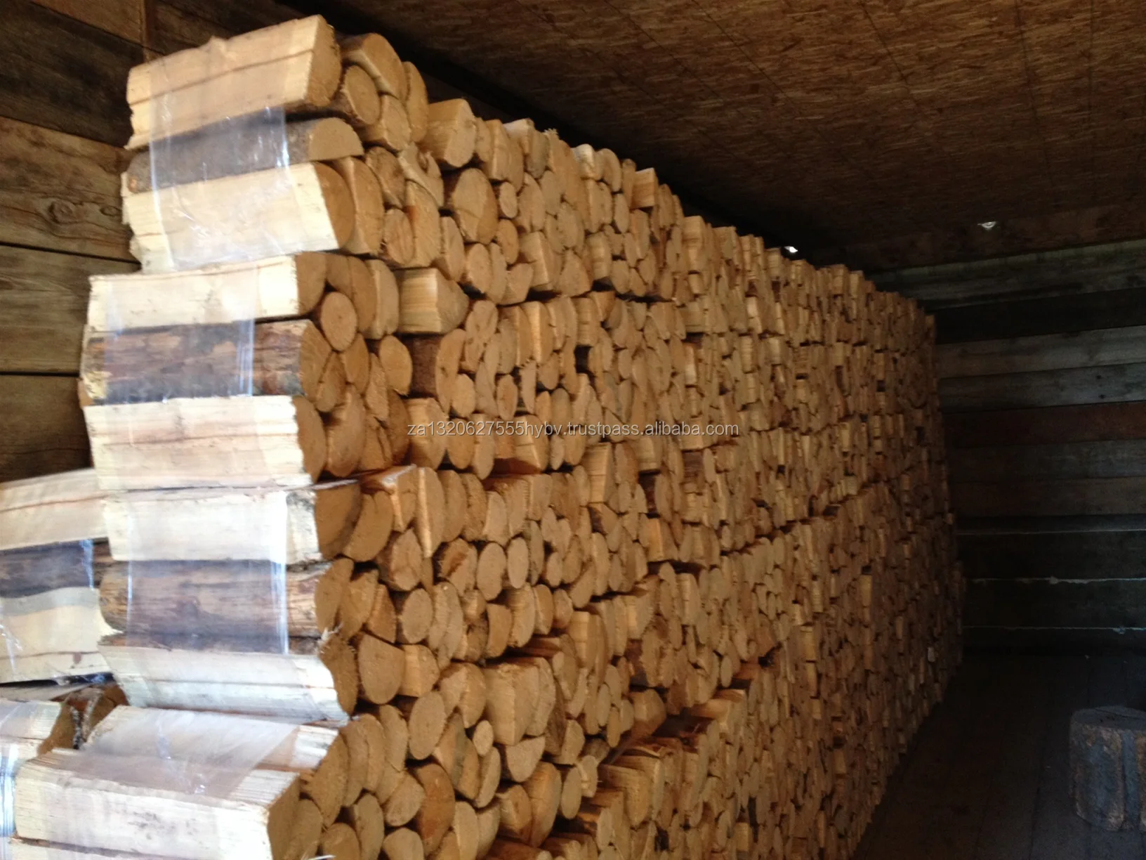 eucalyptus braii wood / top quality firewood