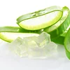 /product-detail/hot-sales-aloe-vera-products-fresh-extract-pure-nature-diced-aloe-vera-ivy-nguyen-84977157110-50037341566.html