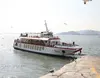 348PAX CRUISE/SIGHTSEEING SHIP FOR SALE(SDM-PS-167)