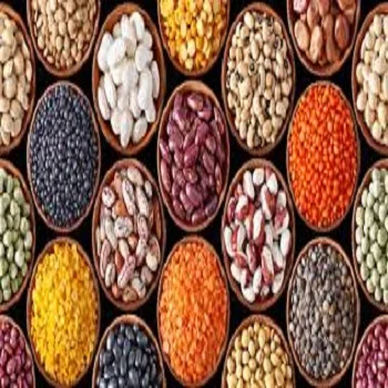 GRADE A SOYBEANS AND SOYA BEANS FOR SALE