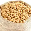 Human Consumption IQF Edamame soya bean soybean/ Roasted Soya Beans/ fresh soybeans.