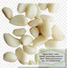 /product-detail/fresh-peeled-garlic-in-brine-62006646268.html