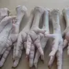 /product-detail/halal-grade-a-chicken-feet-frozen-chicken-paws-brazil-chicken-wings-62009065257.html