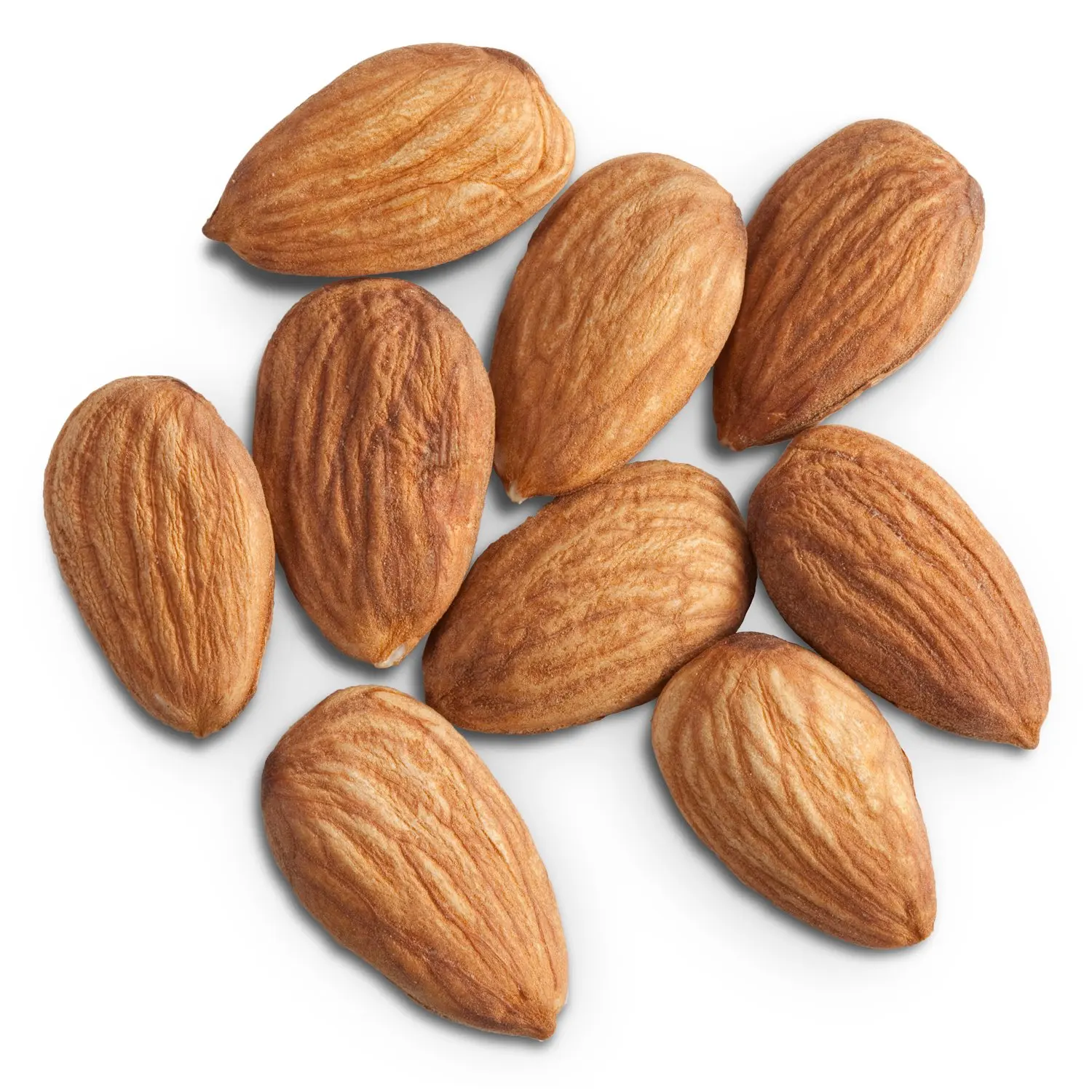 wholesale raw almonds nuts