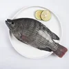 /product-detail/new-season-tilapia-fish-frozen-fish-for-sale-62008203809.html