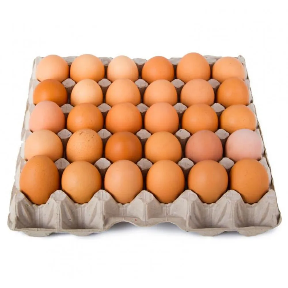 hatching eggs,poachedeggs fresh chicken table eggs/fresh chicken hatching eggs