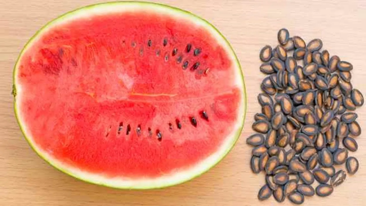 quality black watermelon seeds with good quality