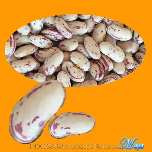 kidney beans lskb & drkb
