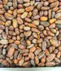 Buy Top Quality Cocoa Beans in Ukraine for export