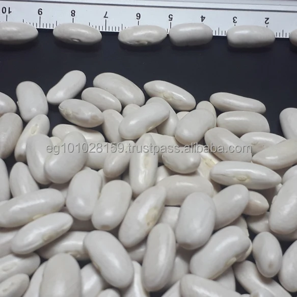 White kidney beans