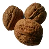 Certified Natural Chilean Inshell Walnuts
