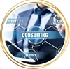 IT SOFTWARE CONSULTING Application security consulting Technology consulting Pre-support audit