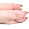 Cheap Frozen Pork Meat , Pork Hind Leg, Pork Feet for Export for SALE