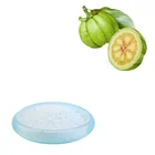 100% Pure 95% HCA Hydroxi Citric Acid Garcinia Cambogia Extract Powder