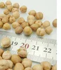 Top Quality Kabuli Chickpeas/Red Lentils /Kidney Beans