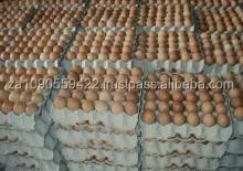 Farm Fresh Chicken Eggs