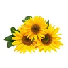 Best Packaging With Best Quality 100% Pure and Natural Sunflower Carrier Oil