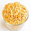 /product-detail/white-corn-and-yellow-corn-human-consumption-animal-feed--50045393242.html