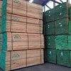 Forestal LV Reasonable Price Sawn Lumber Logs Construction Radiata Pine Wood Timber