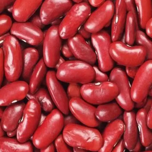 New Crop Long shape Light Speckled kidney Beans, Red Kidney Beans - Long shape