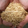 /product-detail/rice-hulls-141594258.html