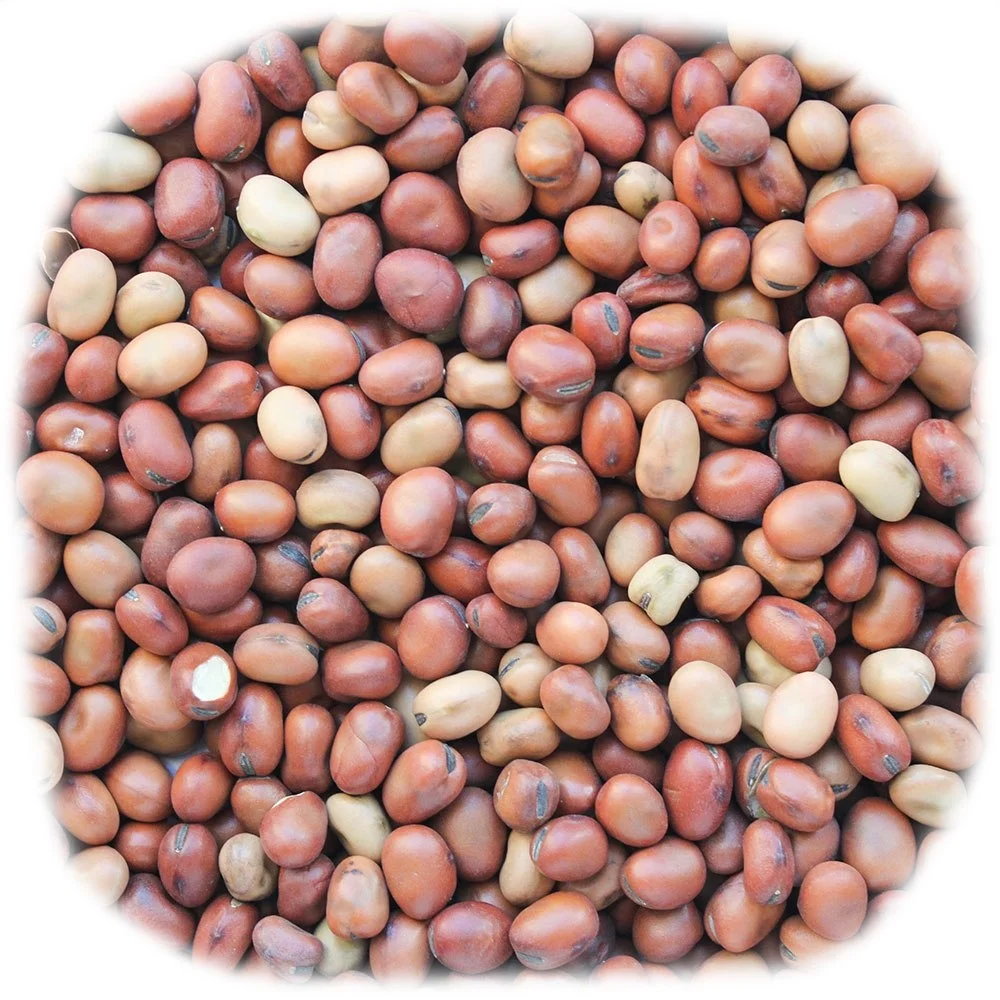 natural kidney beans for sale