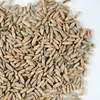 Cheap sale Rye grain for sell