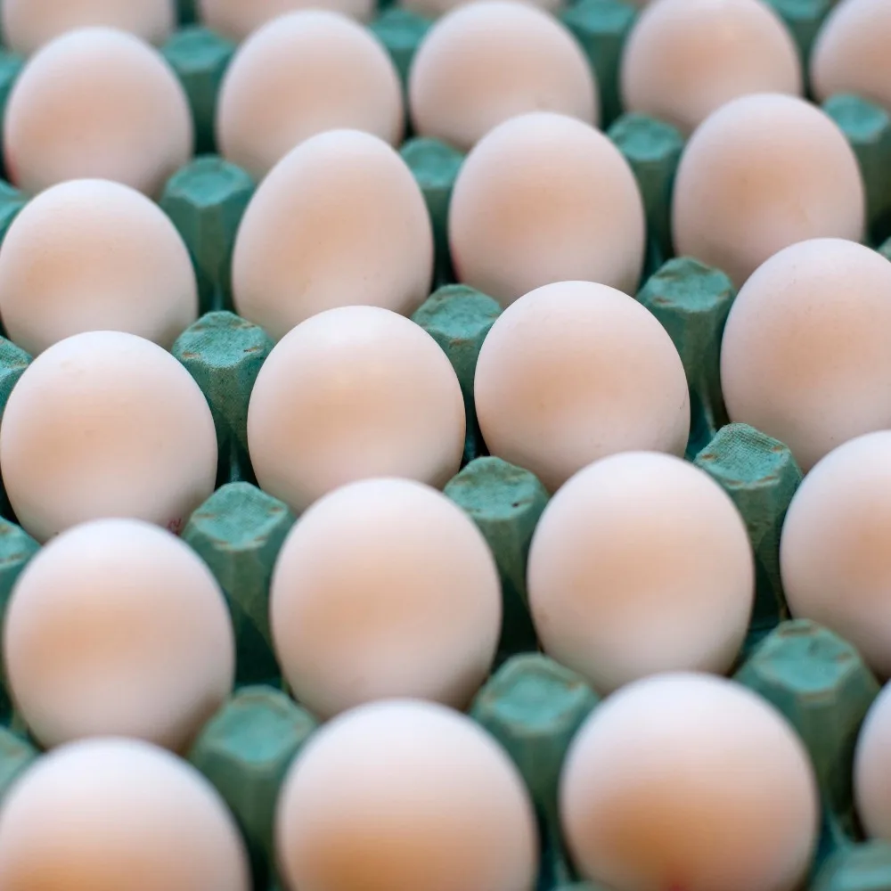 Farm Fresh Chicken Table Eggs,White Chicken Eggs, Brown Chicken Eggs