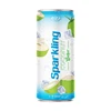High Quality Exporter OEM ODM Sparkling Coconut Water