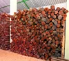 /product-detail/red-sandal-wood-logs-buy-and-find-complete-details-about-red-sandal-wood-logs--50045787967.html