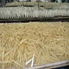 SUPPLY ALL TUBE TYPE , CATFISH MAW, COMPETITIVE PRICE-BEST QUALITY