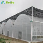Multispan Plastic Film Greenhouse for Tomato Cucumber Flower Horticulture