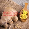 /product-detail/fresh-ginger-anny-841626261558-50039450601.html