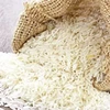 /product-detail/white-broken-rice-100-broken-rice-white-cheap-rice-50042968240.html