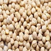 NEW CROP CHEAP RICE CHICK PEAS