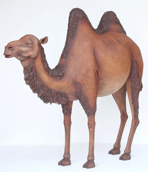 camel (4).jpg