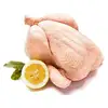 /product-detail/frozen-whole-chicken-chicken-feet-paws-fresh-chicken-50038728250.html