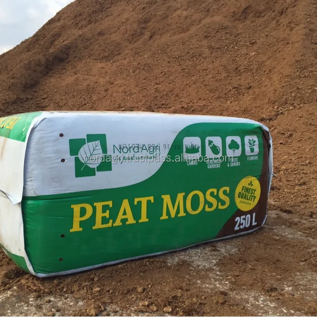 export peat moss