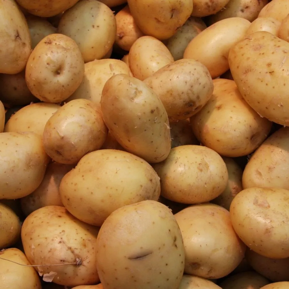 south africa potatoes