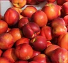 High Quality Wholesale Fresh Peaches, South African Peaches with Cheap Price